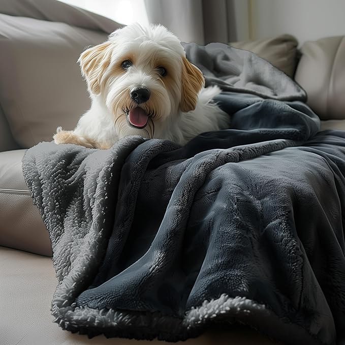 Waterproof Throw Blanket - Sherpa Fleece Reversible Cover, Soft Warm Leak-Proof Bed & Couch Protector for Kids, Pets & Everyday Spills (Charcoal Grey/Silver Grey, Throw 50x60