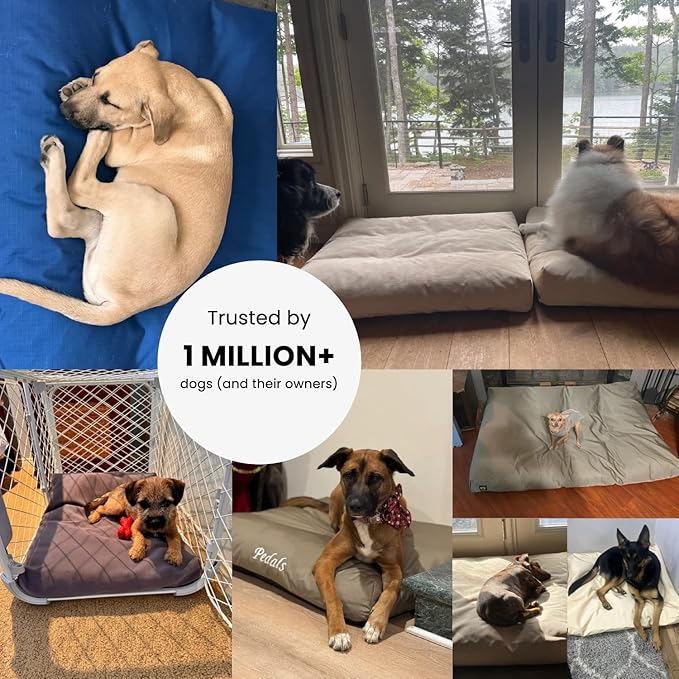K9 Ballistics Tough Rectangle Pillow Medium Dog Bed - Removable Cover, Washable, Durable & Water Resistant Dog Bed Made for Medium Dogs 33"x27", Obsidian Black