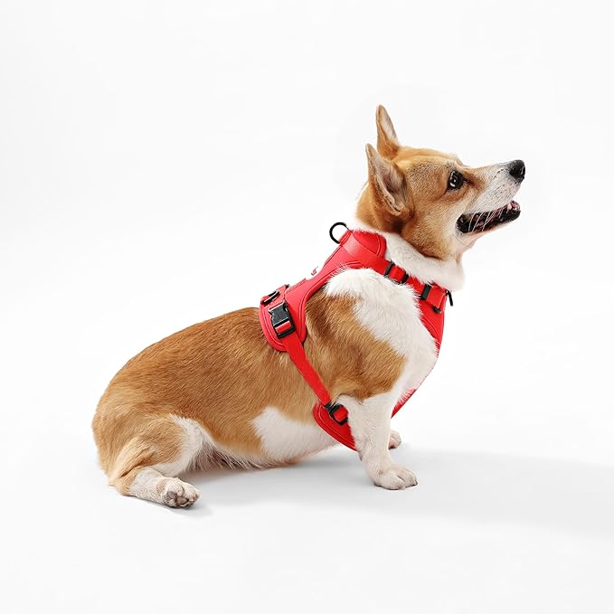 HNS1002M Arlo Medium Adjustable Soft Padded No Pull Pet Harness with 3 Buckles and 3 Leash Clips, Shirley