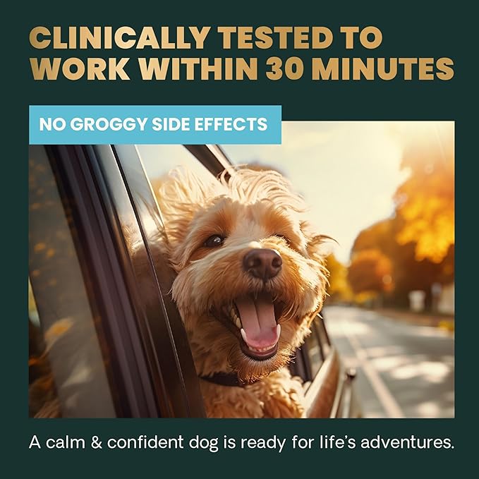 VetriScience Calm & Confident Calming Chews for Dogs, Supplement for Stress Support, Thunderstorms, Fireworks, & Travel, Bacon, Soft Chews, 120 Count - New Look