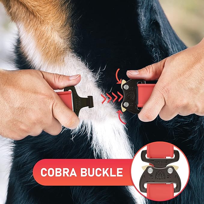 Biothane Dog Collar with Cobra Buckle - Made in USA - QR Code Dog Tag ID Included - Adjustable Heavy Duty Dog Collars for Medium Large Dogs - Waterproof Military Grade Tactical Collar for Dogs