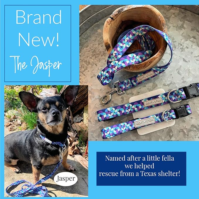 Lucky Love Dog - Adjustable Dog Collar and Leash Set with Easy Click Buckle for Small to Large Dogs, Durable, & Comfortable Collar for Male & Female Dogs, Puppies & Adult Ones - Jasper Combo, XL