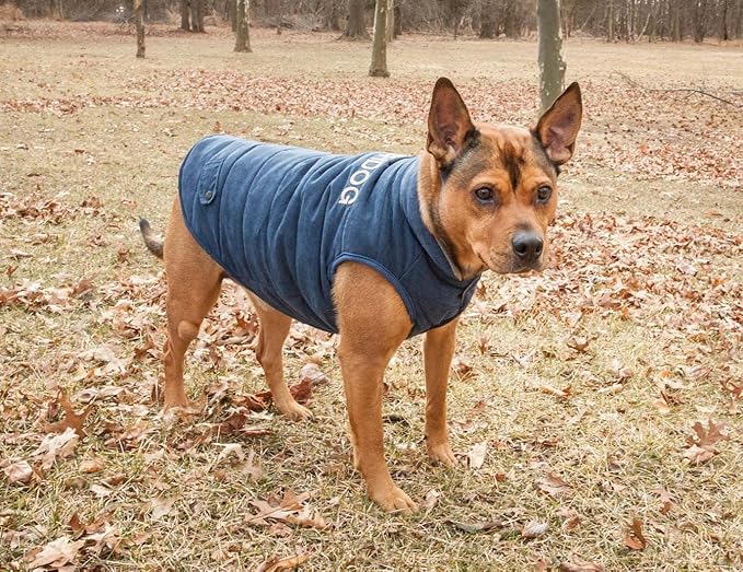 TOUCHDOG 'Waggin Swag' Fashion Designer Reversible 3M Insulated Pet Dog Coat Jacket, X-Large, Blue / Grey