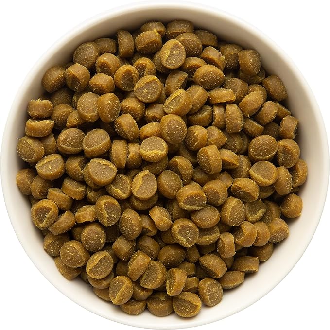 Zuke's Mini Naturals Dog Training Treats for Dogs, Real Salmon Flavor - 10 oz. Pouch