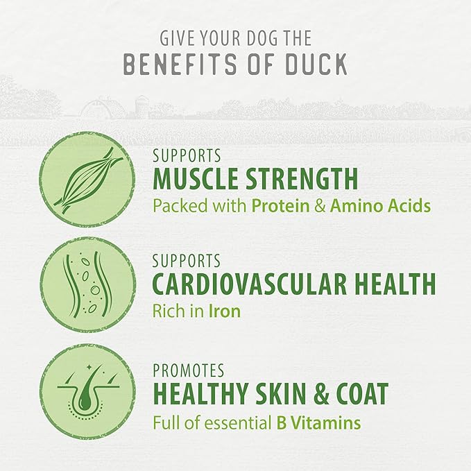 Chewy Duck Sticks