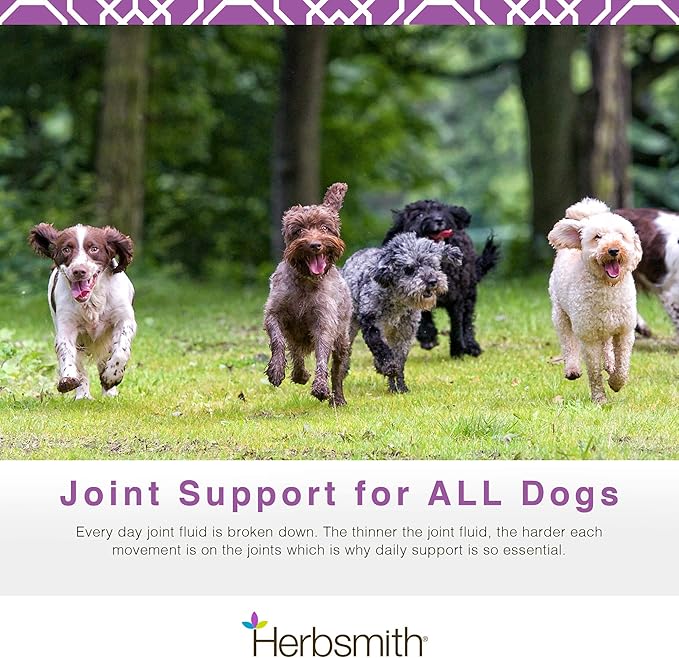 Herbsmith Sound Dog Viscosity – Advanced Joint Support for Dogs – Veterinarian Recommended Glucosamine for Dogs, Hyaluronic Acid, Chondroitin, MSM – Natural Arthritis Pain Relief – 60ct Large Chews
