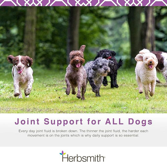 Herbsmith Sound Dog Viscosity – Advanced Joint Support for Dogs – Veterinarian Recommended Glucosamine for Dogs, Hyaluronic Acid, Chondroitin, MSM – Natural Arthritis Pain Relief – 120ct Large Chews