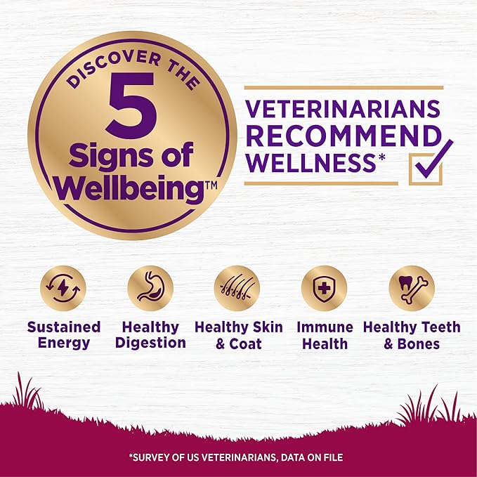Wellness Complete Health Small Breed Dry Dog Food With Grains, Made In USA with Real Turkey and Natural Ingredients, For Dogs Up To 25 lbs, Healthy Weight, 12 Pound Bag