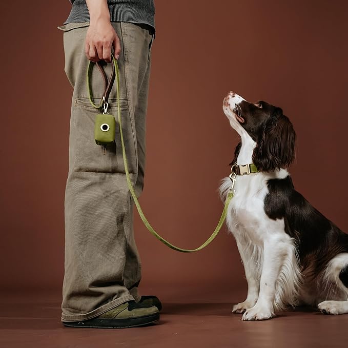 Didog Soft PU Leather Dog Collars for Small Dogs,Classic Adjustable Dog Collars with Quick Release Metal Buckle,Easy Clean and Comfortable with Nylon Lining,Olive Green,S Neck 10-15"