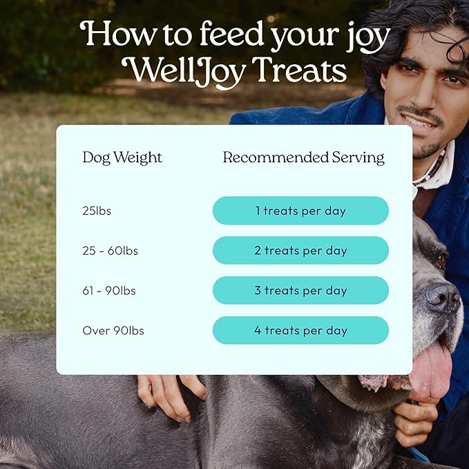 New! WellJoy Dog Treat Joint+ GutBoost | Glucosamine | Healthy Joints & Cartilage | Dual-Benefit GutBoost Formulation | Vet Formulated | Made in USA | Made with Real Shredded Chicken | 30 Soft Chews