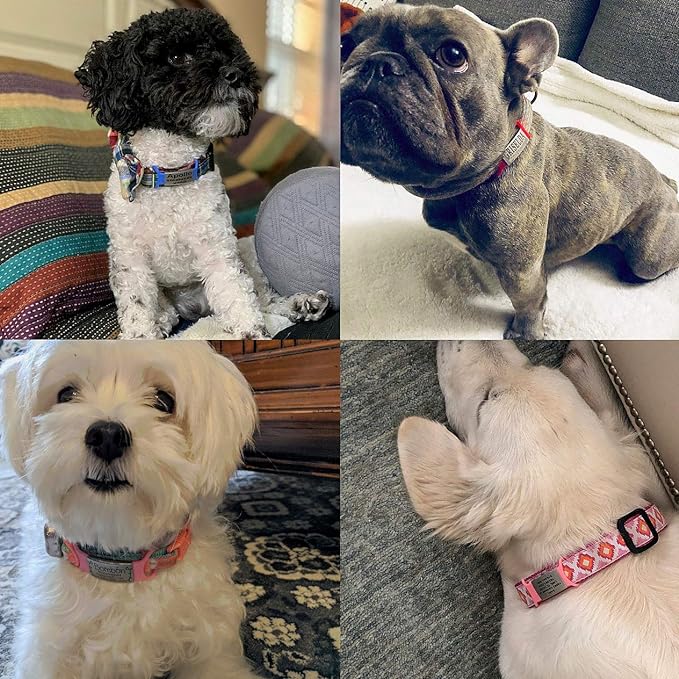 Personalized Dog & Cat ID Tags - No Noise, Engraved, Slide On - Custom Collar Tags for Small, Medium & Large Pets - Silent Identification