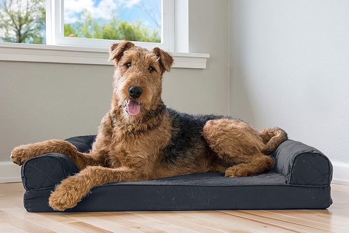 Furhaven Memory Foam Dog Bed for Large/Medium Dogs w/ Removable Bolsters & Washable Cover, For Dogs Up to 55 lbs - Quilted Sofa - Iron Gray, Large