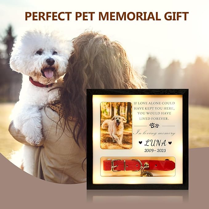 Pet Memorial Picture Frame Dog Collar Shadow Box 10"x10", Sympathy Remembrance Gift Keepsake for Loss of Dog or Cat, for Medium or Small Size Collars
