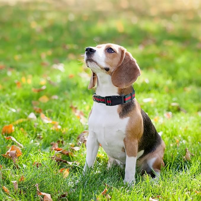 Nobility and Elegant Dog Collar, Comfortable and Durable Pet Collars,Luxury Dog Collars Packing Gift for Big Large Dogs