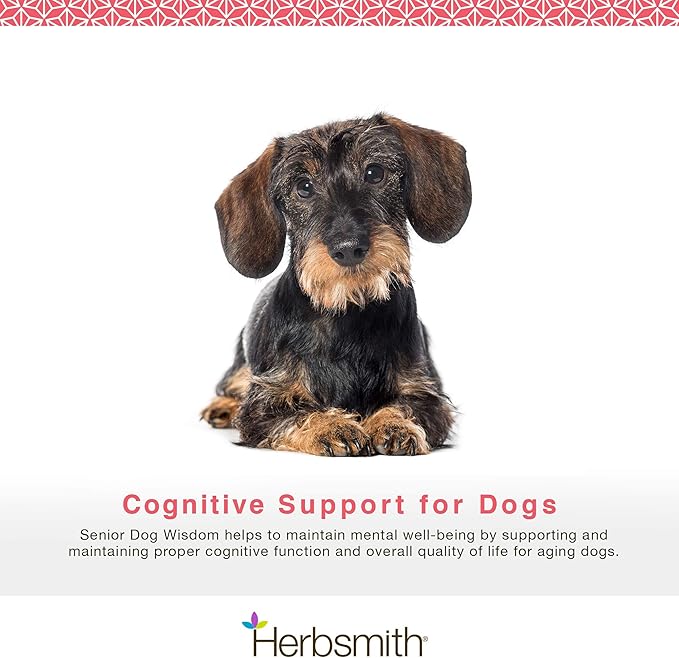 Herbsmith Senior Dog Wisdom – Dog Dementia Supplement – DHA for Senior Dog Brain Health - Senior Supplement for Dogs- 60ct Large Chews