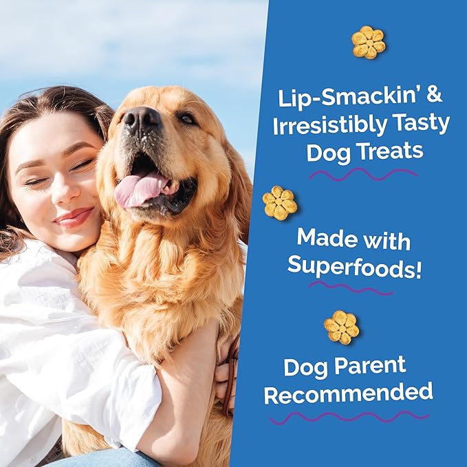 Fruitables Baked Dog Treats, Pumpkin Snacks for Dogs, Low Calorie & Delicious, No Wheat, Corn or Soy, Healthy Puppy Training Treats, Made in The USA, Pumpkin and Blueberry Flavor, 20oz