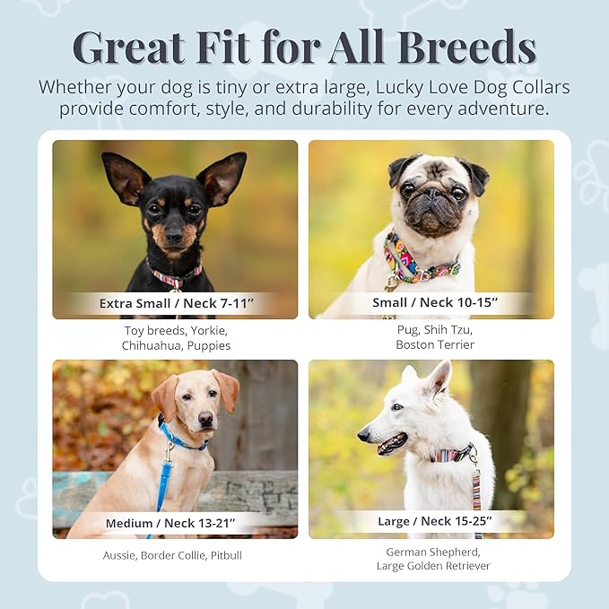 Lucky Love Dog - Adjustable Dog Collar with Easy Click Buckle for Small to Large Dogs, Durable, & Comfortable for Male & Female Dogs, Pet Collar for Puppies & Adult Ones - Penny, Large