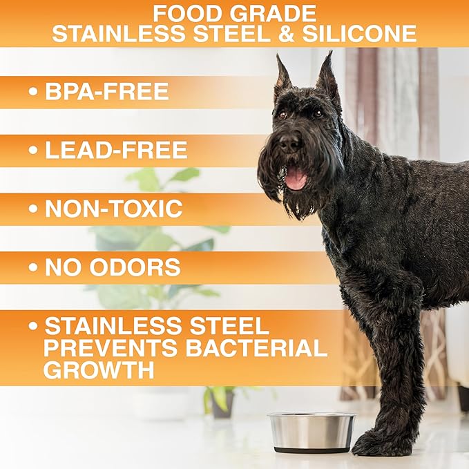 Neater Pet Brands Stainless Steel Dog Bowls with Non-Slip Rubber Bottom – 3 Cup (24 oz), Black - Set of 2 Heavy Duty Metal Dog Bowls, Dishwasher Safe, Food or Water Bowl, Ideal for Small & Medium Dogs