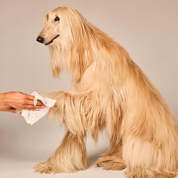 WagWell Daily Cleansing Dog Wipes – Vet-Approved, All Natural, Dermatologist Tested, Microbiome-Friendly – Head-to-Tail (Avoid Eye Area), Helps Reduce Odor – No Added Fragrance, 50 Count