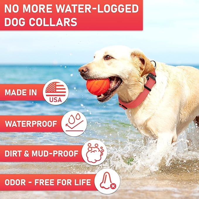 Biothane Dog Collar with Cobra Buckle - Made in USA - QR Code Dog Tag ID Included - Adjustable Heavy Duty Dog Collars for Medium Large Dogs - Waterproof Military Grade Tactical Collar for Dogs