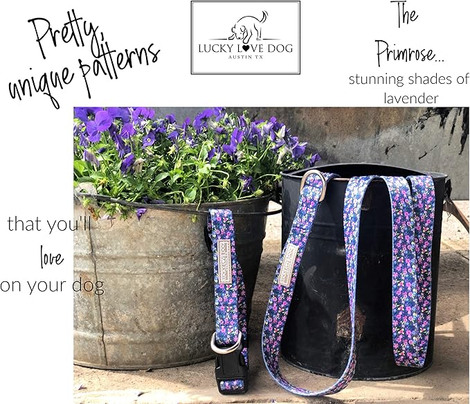 Lucky Love Dog - Easy Click Buckle Dog Collar with Leash Set Combo, Durable & Comfortable for Male & Female Dogs, Pet Collar for Small to Large Dogs, Secure Fit - Primrose Combo, Medium