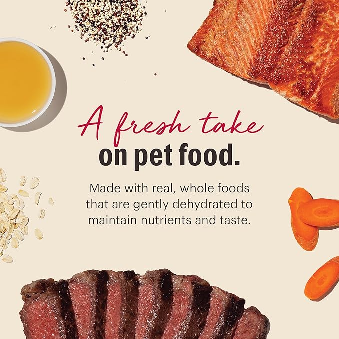 The Honest Kitchen Wholemade™ Dehydrated Whole Grain Beef & Salmon Dog Food, 10 lb Box