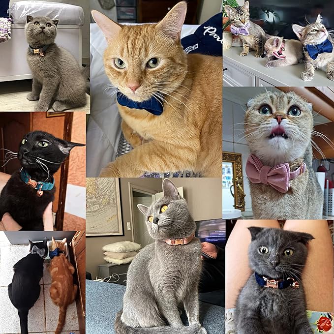 Cat Collar Personalized with Name Engraved and Bell, Customized Velvet Collars for Puppy Kittens (Navy Blue, S)