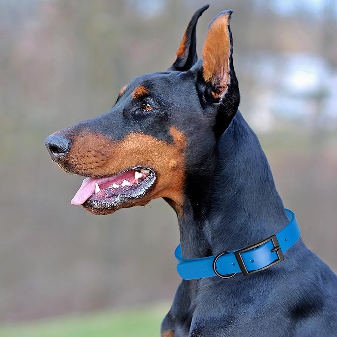 Dogline Biothane Coated Webbing Dog Collar with Black Metal Hardware: Durable Easy-Clean Everyday Collar for Dogs - Comfortable Adjustable Odor-Resistant Pet Collar, W1/2" x L9-12, Cerulean Blue