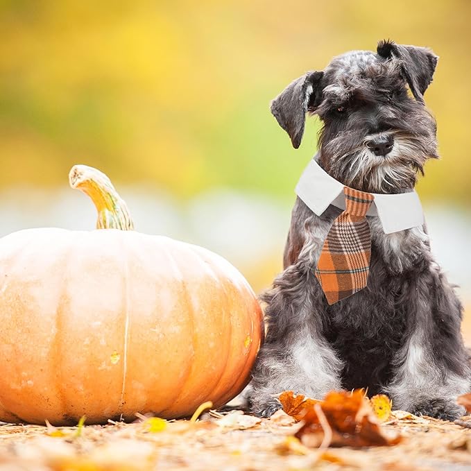 ADOGGYGO Fall Dog Necktie Pet Tuxedo Halloween Thanksgiving Dog Neck Tie Collar with Orange Plaid Tie for Small Dogs Pets (Small, Orange)