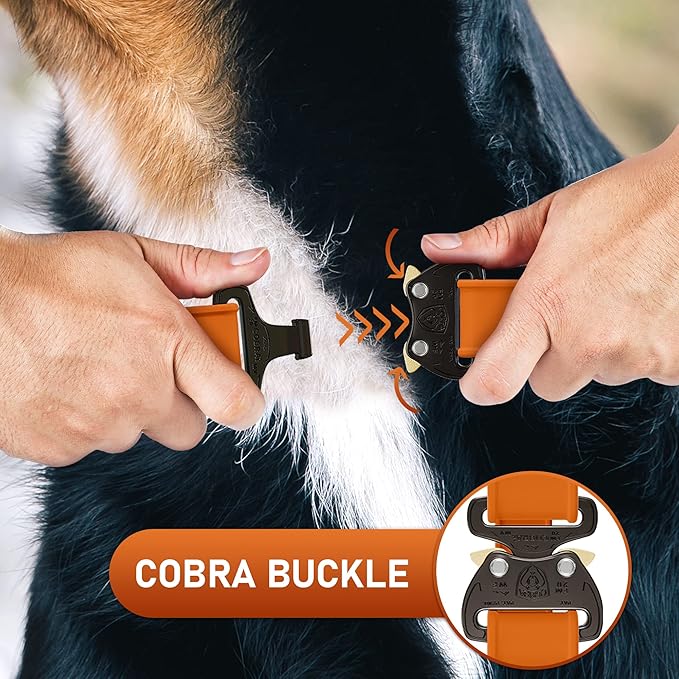Biothane Dog Collar with Cobra Buckle - Made in USA - QR Code Dog Tag ID Included - Adjustable Heavy Duty Dog Collars for Medium Large Dogs - Waterproof Military Grade Tactical (3/4", Orange)