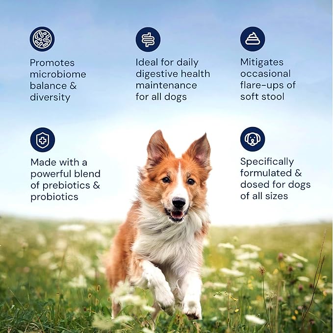 AnimalBiome Dog Probiotics - GMP Prebiotics and Probiotics - Reduce Diarrhea Flareups - for Dogs Over 40 lbs (60 Capsules) - DoggyBiome
