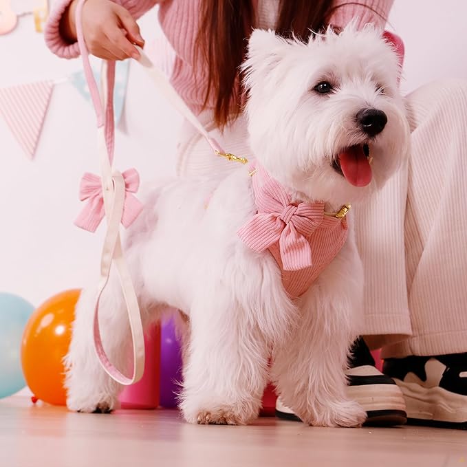 Didog Cute Small Dog Harness Collar and Leash Set with Bowtie, Breathable Soft Mesh Padded Puppy Harness, Pink Dog Harness for Parties, Holiday Gatherings & Gifts, Pink, S