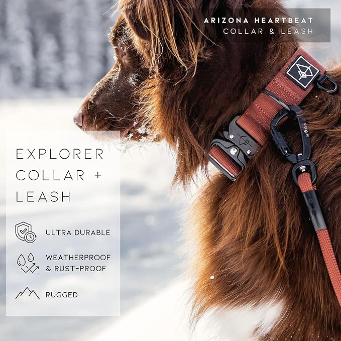 Made to ROAM Premium Dog Collar - Adjustable Heavy Duty Nylon Collar with Quick-Release Metal Buckle (Alaska Daybreak, Classic Size 4)
