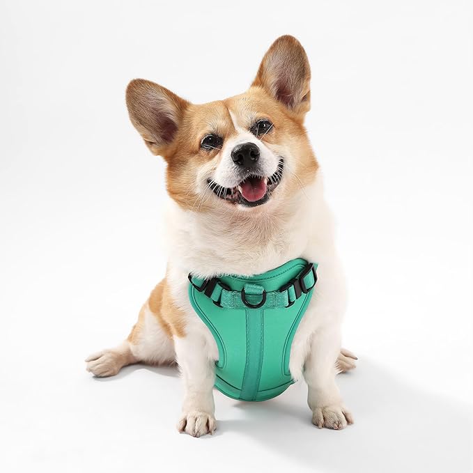 HNS1002K Arlo Medium Adjustable Soft Padded No Pull Pet Harness with 3 Buckles and 3 Leash Clips, Julep