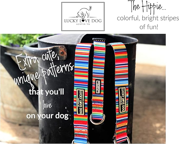 Lucky Love Dog - Easy Click Buckle Dog Collar with Leash Set Combo, Durable & Comfortable for Male & Female Dogs, Pet Collar for Small to Large Dogs, Secure Fit - Hippie Combo, Medium