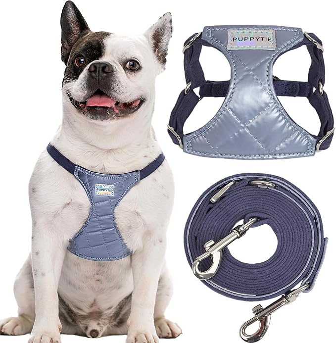 Puppytie No Pull xs Dog Harness with Multifunction Dog Leash,Soft Adjustable No Choke Escape Proof Pet Harness Vest,Glossy Galaxy Blue,XXS