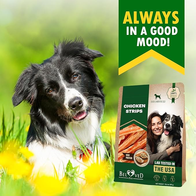 Dog Treats Chicken Jerky Strips 10.6 oz - Human Grade Meat Sticks - Natural Pet Dried Snacks Rawhide - Free - Long Lasting Chews for Large & Small Dogs - Best for Training & Healthy Teeth
