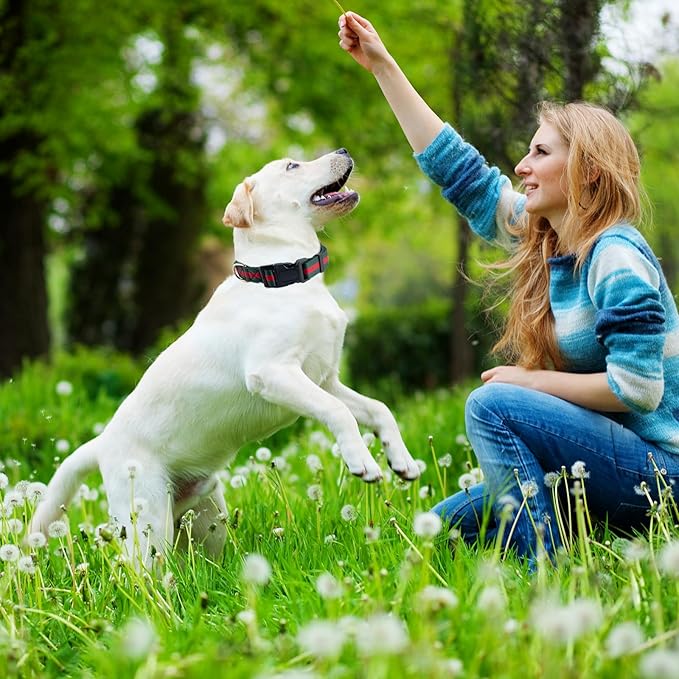 Nobility and Elegant Dog Collar, Comfortable and Durable Pet Collars,Luxury Dog Collars Packing Gift for Big Large Dogs