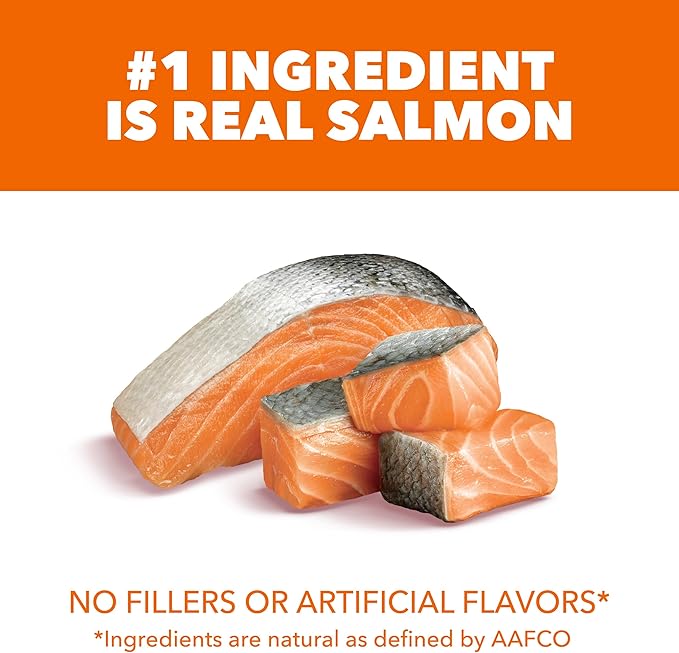 IAMS Proactive Health Adult Healthy Dry Cat Food with Real Salmon, 3.5 lb. Bag