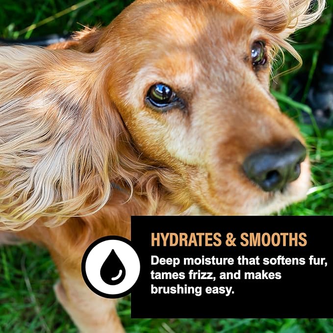 Holm & Herd Dog Deodorizing Spray – Long-Lasting Dog Coat Perfume, Leave-In Conditioner for Soft, Shiny Fur – Pet Cologne for Dogs - Oatmeal Honey 8oz