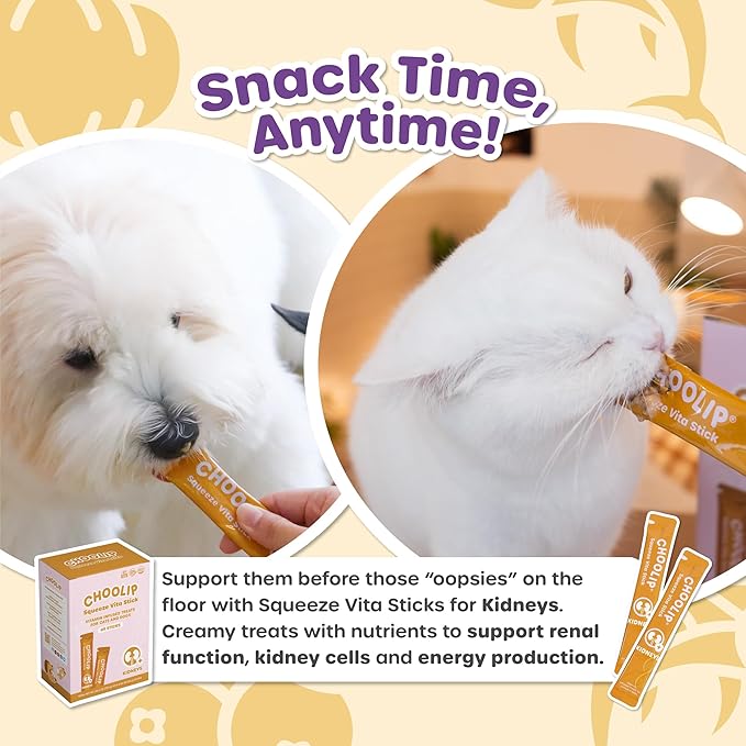 Choolip Squeeze Vita Stick Lickable Cat and Dog Treats – 49-Count Kidney Support Sticks with Multivitamins, Soft Squeezable Paste for All Life Stages, Supporting Kidney Health - Box with 7 Pouches