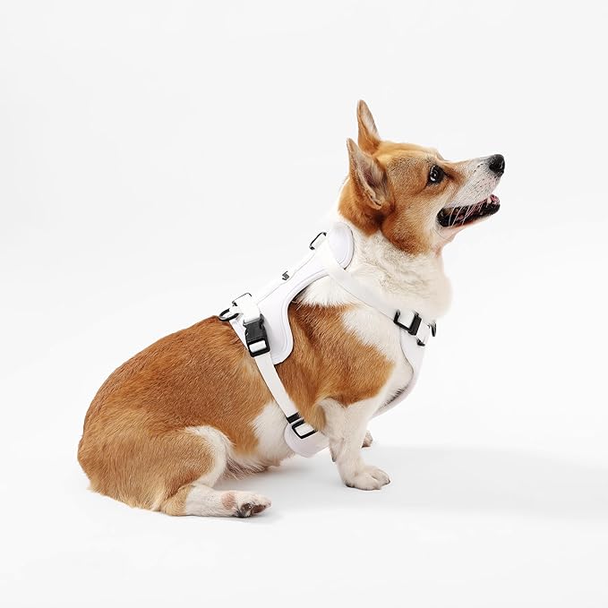 HNS1002F Arlo Medium Adjustable Soft Padded No Pull Pet Harness with 3 Buckles and 3 Leash Clips, Seltzer