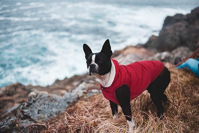 Fleece Hoodie, Windproof Waterproof Coat, Winter Warm Jacket, Cold Weather Pet Apparel Clothes Vest for Small Medium Large Dogs (XL, Red)