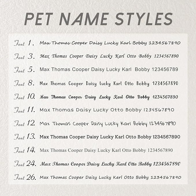 Anavia Small Size Dog Cat ID Tags, Small/XS Personalized Color Plated Stainless Steel Puppy Kitten Name Tags, Customized Engraved Nameplate Pet Collar Tag (Silver, Oval)