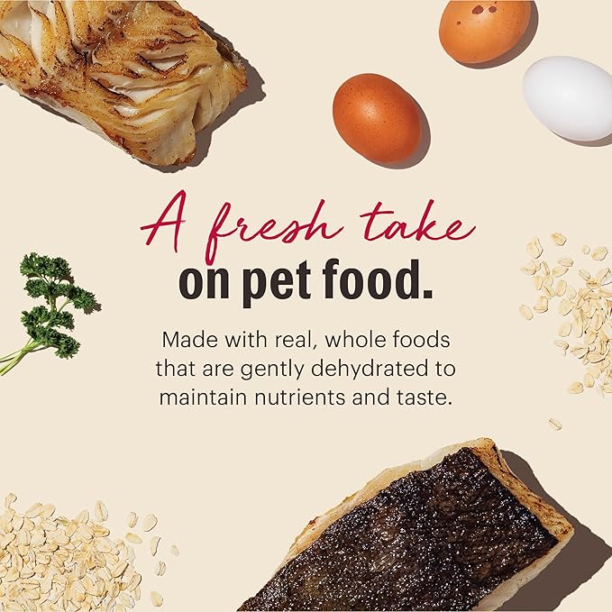 The Honest Kitchen Wholemade™ Dehydrated Whole Grain Fish & Oats Dog Food, 10 lb Box