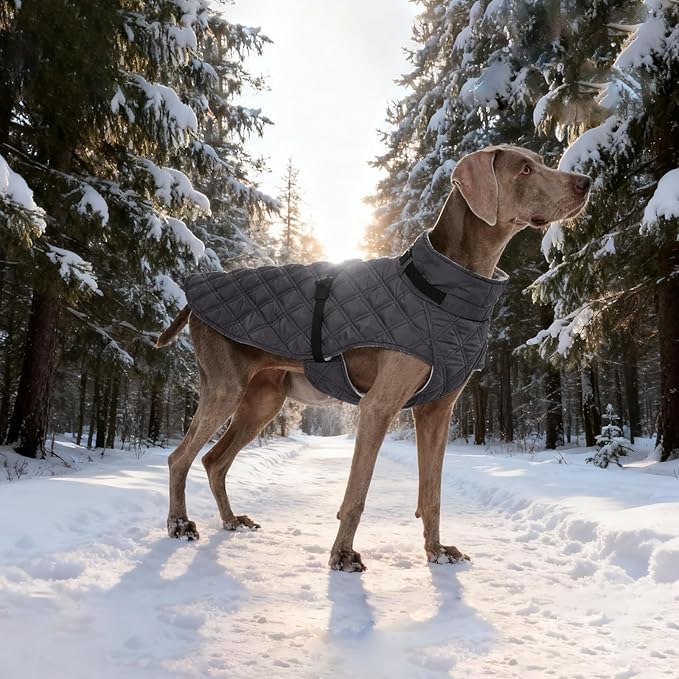 Kuoser Dog Coat Warm Fleece Lining Turtleneck Dog Jacket with Harness Built-in, Windproof Cold Weather Coats with Quick Release Buckle Pet Winter Snowsuit for Extra Large Dogs Great Dane, Grey 3XL