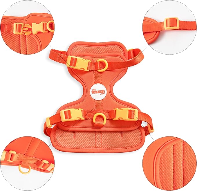 HNS1001A Arlo Small Adjustable Soft Padded No Pull Pet Harness with 3 Buckles and 3 Leash Clips, Aperol