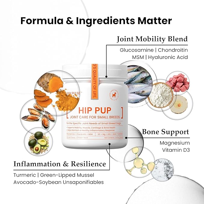 PAWPULSE FORMULA Advanced Mobility Dog Joint Supplement for Small Breeds – Hip & Joint Care, Arthritis & Pain Relief with Glucosamine, Chondroitin, MSM, Turmeric, Green Lipped Mussel – 120 Soft Chews