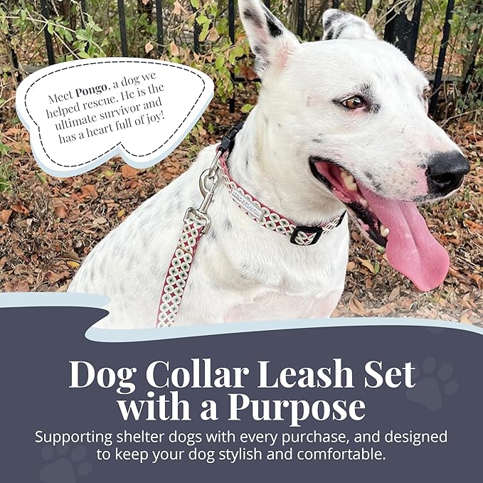 Lucky Love Dog - Easy Click Buckle Dog Collar with Leash Set Combo, Durable & Comfortable for Male & Female Dogs, Pet Collar for Small to Large Dogs, Secure Fit - Pongo Combo, Large