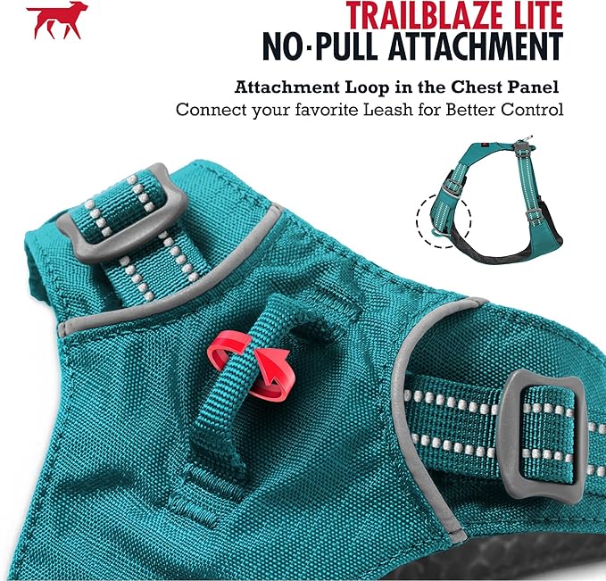 Tuff Pupper All-Day Wear Dog Harness | for Walking, Trail Running, Hiking | Front & Back Leash Clips | Reflective Trim | Easy On/Off Buckles | Lightweight Breathable | No Pull Design (Medium, Teal)